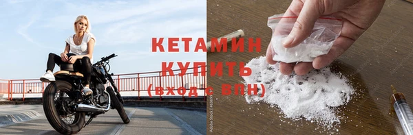 гидра Кодинск