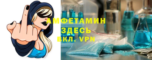 гидра Кодинск