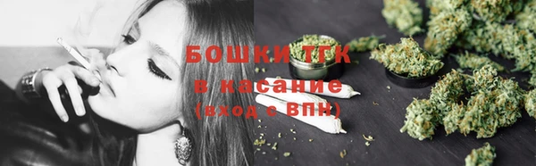 гидра Кодинск