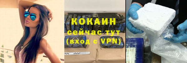 гидра Кодинск