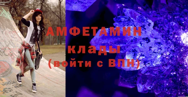 гидра Кодинск
