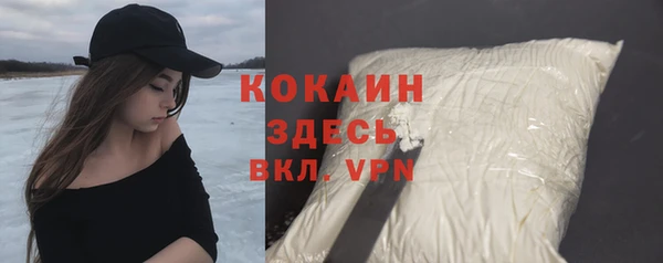 гидра Кодинск