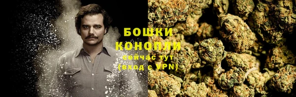 гидра Кодинск