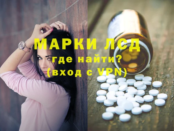 гидра Кодинск