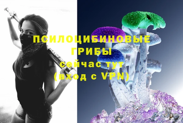 гидра Кодинск