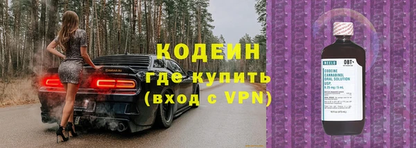 гидра Кодинск