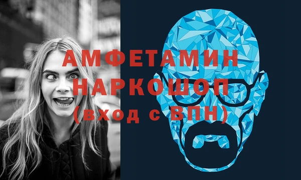 гидра Кодинск