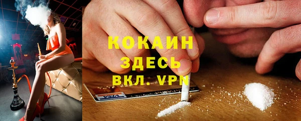 гидра Кодинск