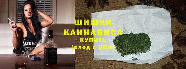 гидра Кодинск